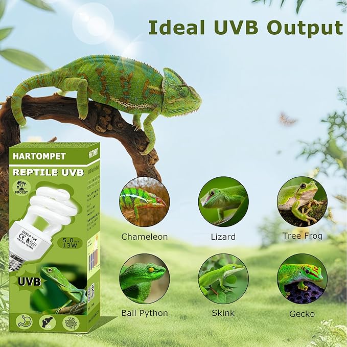 UVB 5.0 Reptile Light13W, Compact Fluorescent Tropical Lamp, Coil UVB Bulb for Rainforest Reptiles – Light for Crowned Chameleons, Green Iguanas, Tree Frogs, Ball Pythons in Terrarium