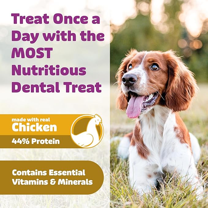 Dog Dental Treats – Vet VOHC Approved, Removes Tartar & Cleans Teeth – Yummy High Protein Chicken Treat for Small Dogs (Mini Pack, 13 Count)