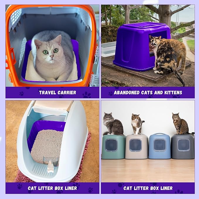 Bokon 25 Pcs Disposable Litter Boxes for Cats Plastic Cat Litter Tray Large Kitten Pan for Kitty Rabbit Guinea Pig Hamster Pets Supplies Travel Home Toilet, 15.7 x 11.8 x 3 Inches (Purple)