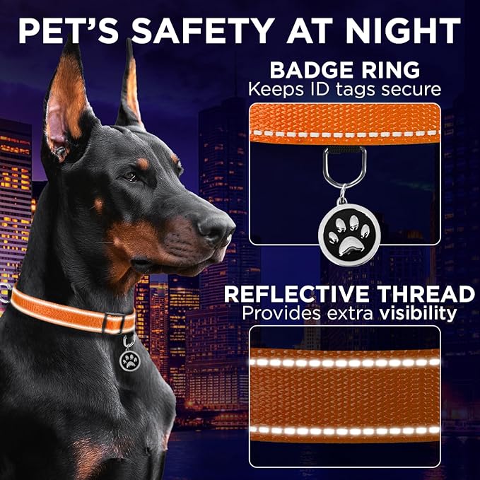 TECEUM Reflective Dog Collar β Orange β S β Extra Soft Padding β Basic Nylon Pet Collar β Quick Release Buckle β Fits Small, Medium and Large Dogs, Puppies, Cats β ESA & Service Dog Options