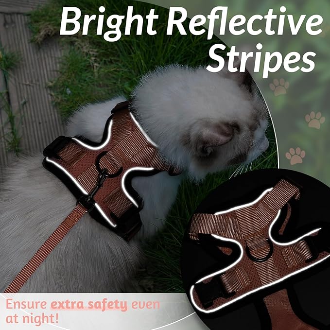 rabbitgoo Cat Harness and Leash for Walking, Escape Proof Soft Adjustable Vest Harnesses for Cats, Easy Control Breathable Reflective Strips Jacket, Light Salmon Pink, XS