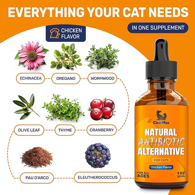 Cat Antibiotic to Help with Cough & Allergies โ Antibiotics for Cats to Aid with UTIs and Digestive Moments โ HIPS & Joints Support โ Attractive Chicken Taste โ 1 Oz Bottle