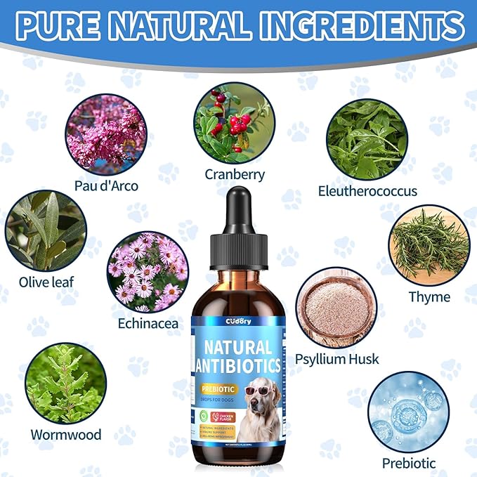 Natural Antibiotics for Dogs, Herbal Dog Antibiotics Supplement in Drops with Prebiotics, Natural Herbal Supports for Dogs Puppy All Breeds and Ages-Chicken Flavor | 2 fl oz