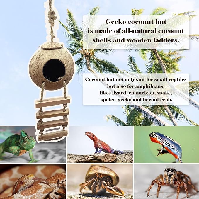 Grested Gecko Coconut Hut with Ladder,Leopard Gecko Coconut Hide Lizards Hanging Coco Den Cave Reptile Hammock Reptiles Tank Accessories Climbing Hanging Plants Jungle Vine Flexible Leaves Decor