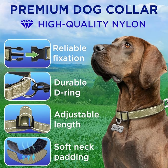 TECEUM Reflective Dog Collar β Olive β M β Extra Soft Padding β Basic Nylon Pet Collar β Quick Release Buckle β Fits Small, Medium and Large Dogs, Puppies, Cats β ESA & Service Dog Options