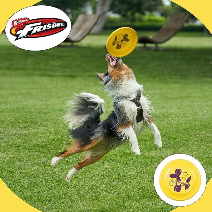Wham-O Frisbee Fastback Flying Disc, 9.35 Inch Dog-Friendly Lightweight Toy for Professional Players Outdoor Beach Park Backyard Game - 100g