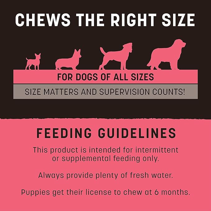 Earth Animal No Hide Strips Salmon Flavored Natural Treats | No Rawhide | Quick & Thin Dog Chews - 4 Count