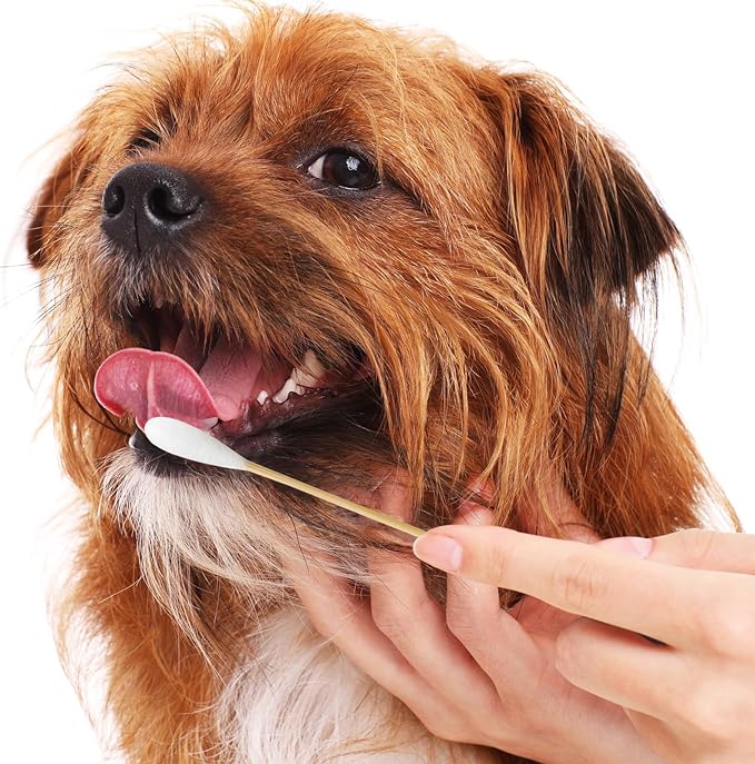 6 Inch Dog Ear Swabs – 100 Large Bamboo Cotton Swabs for Pet Owners, Groomers, and Veterinarians – Ideal for Ear Cleaning, Applying Medication, Craft Projects, and General Cleaning – Home, Vet Clinic