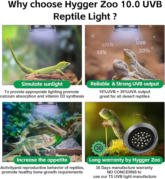 UVB Light for Reptiles with Dimming, LED UVB Light Bulb Fixture for Bearded Dragon Gecko Lizard Turtle Snake, Adjustable Brightness UVA UVB Lamp for Tropical & Desert Reptile Tank Accessories 6W Grey