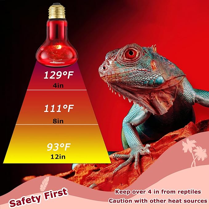 60W Red Infrared Heat Lamp Bulb for Reptiles – Basking Spot Light for Lizards, Bearded Dragons, Snakes & Chicks, Ideal E26 Heater for Terrariums, Chicken Coops & Brooders | 2 Pack