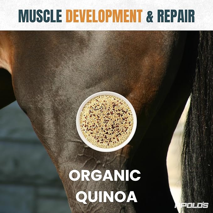 Greenfit APOLO'S 100% Natural Horse Supplement for Daily Feeding – Joint Support, Coat Shine & Strength | Flaxseed, Quinoa, Chia | 10 LB Bag