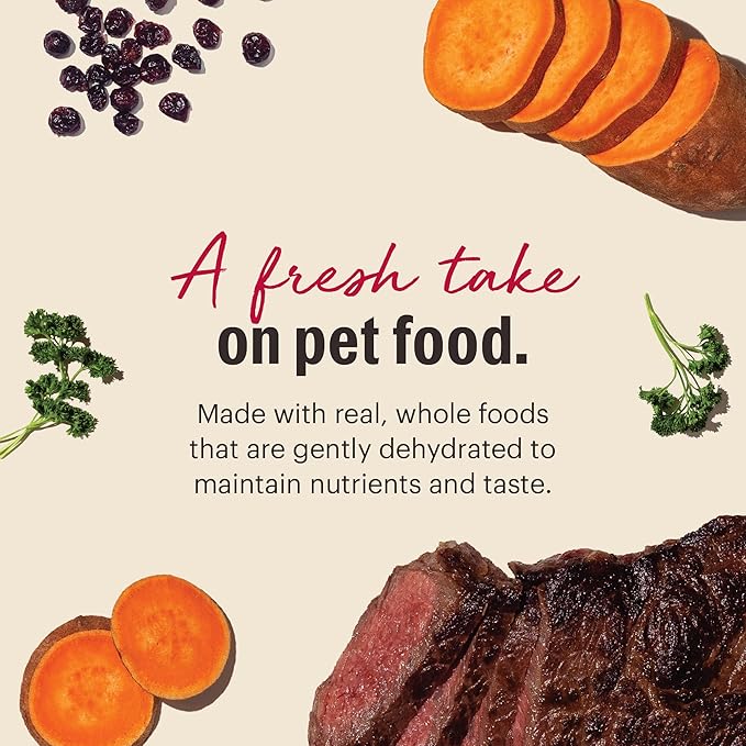 The Honest Kitchen Dehydrated Grain Free Beef Dog Food, 7 lb Box