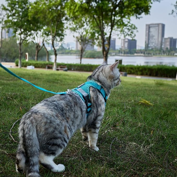 Cat Harness and Leash Escape Proof Large Kitten Harness Ragdoll Cat Vest for Walking Travel, Turquoise, L