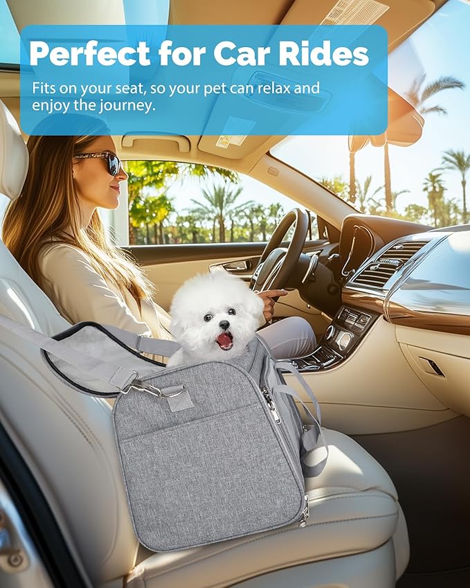 L&W BROS. Airline Approved Cat Carrier - Soft Sided Pet Travel Bag for Cats and Small Dogs Under 16 lbs TSA Approved Pet Carrier in Cabin (Gray)