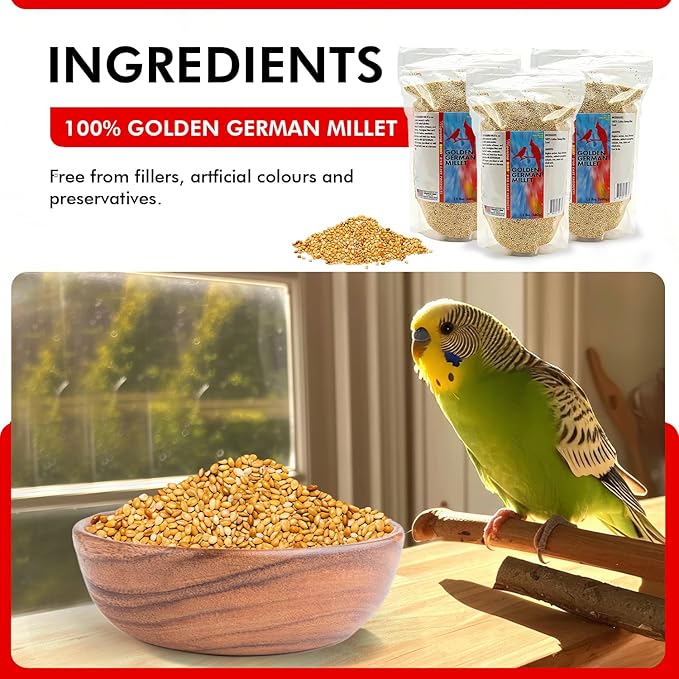 Morning Bird Golden German Millet – Bird Seed & Parakeet Food with Protein & Vitamin B – Easy-to-Digest Millet Seed, Natural Food & Daily Nutrition for All Type of Bird 4.5 lbs (3-Pack, 1.5 lbs Each)