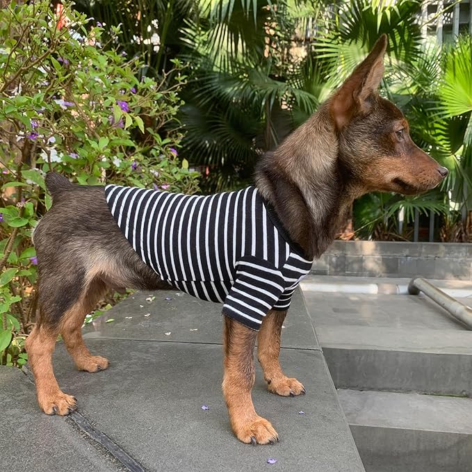 YQYS Pet T-Shirts Thick Striped Cotton Tee Shirt for Small Dogs and Cats Puppy Clothes Apparel Clothing for Teacup Chihuahua Yorkie Poodle Black White Medium