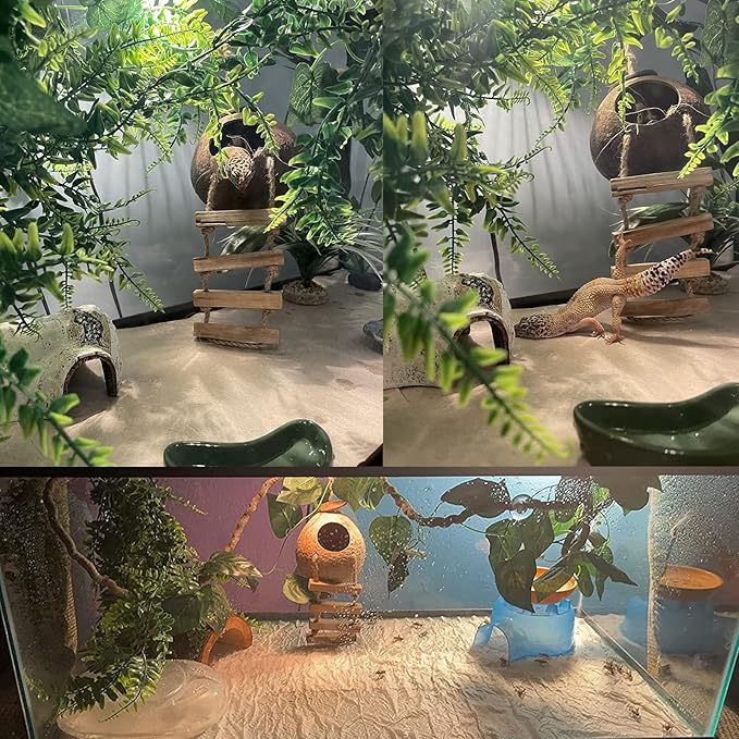 Crested Gecko Coconut Hide with Ladder,Reptile Natural Coco Shell Ladders Geckos Hideout Hut Lizards Hermit Habitat Leopard Gecko Terrarium Plant Accessories for Chameleon Snakes