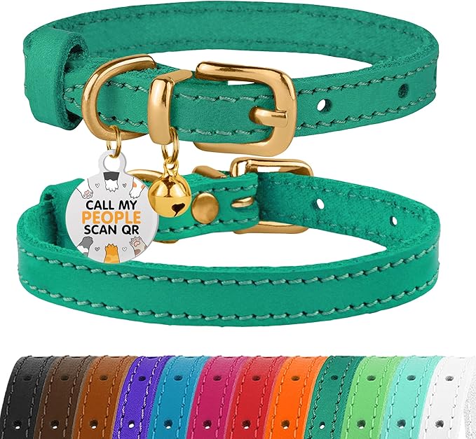 BRONZEDOG Leather Cat Collar with Removable Bells Non Breakaway Kitten QR Tag for Girl Boy (7" - 9" for Cats, Green & Gold)