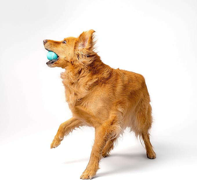 Playology Squeaky Dog Toy | Durable Rubber Interactive Dog Ball | Peanut Butter Scented Fetch Ball for Medium Dogs | Floating Dog Toy Made from Non Toxic Materials