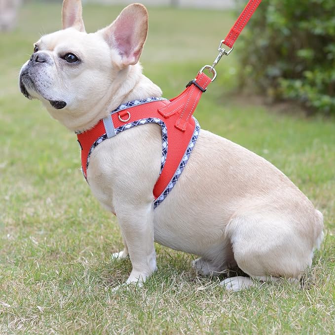 Mercano Soft Mesh Dog Harness and Leash Set, No-Chock Step-in Reflective Breathable Lightweight Easy Walk Vest Harnesses with Safety Buckle for Small Dogs, Cats (Red, L)