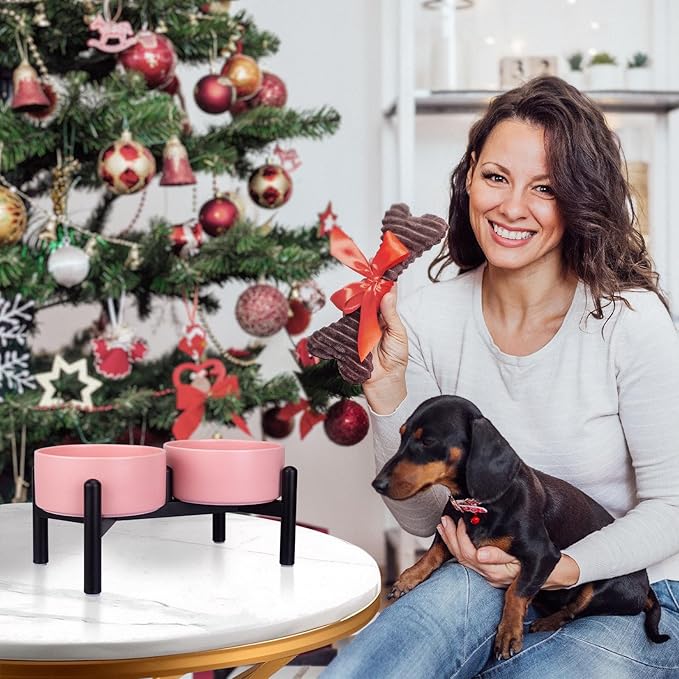 Raised Ceramic Dog Bowl Set - Elevated Double Dishes with Stainless Steel Stand - Food and Water Bowls for Small to Medium Dogs - Each Holds 2 Cups (28.75 fl oz) - White