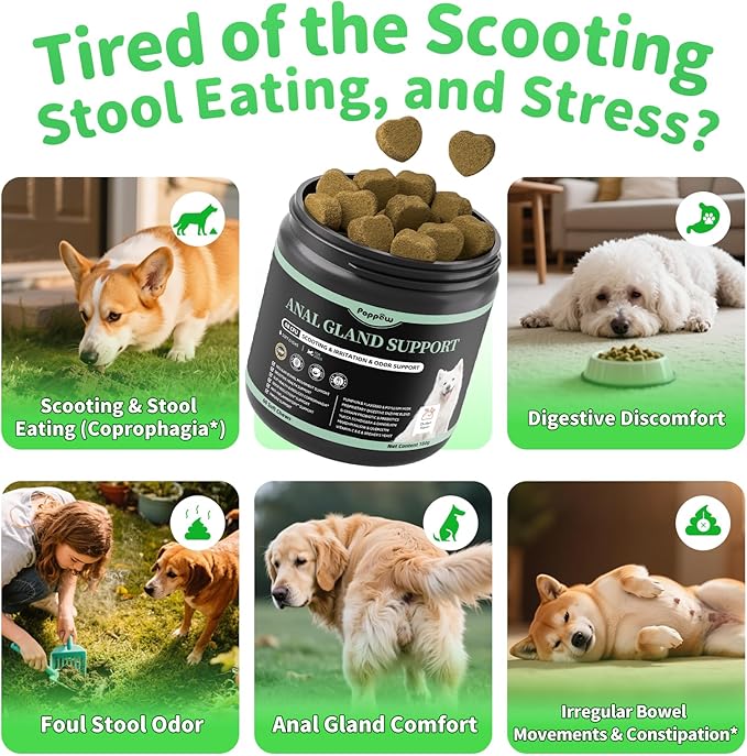 Anal Gland Support Chews for Dogs - with Pumpkin, Digestive Enzymes & Probiotics for Dog Gut Health - Scoot Treatment, Constipation, Deters Stool Eating, Odor Control - Chicken Flavor-60 Count