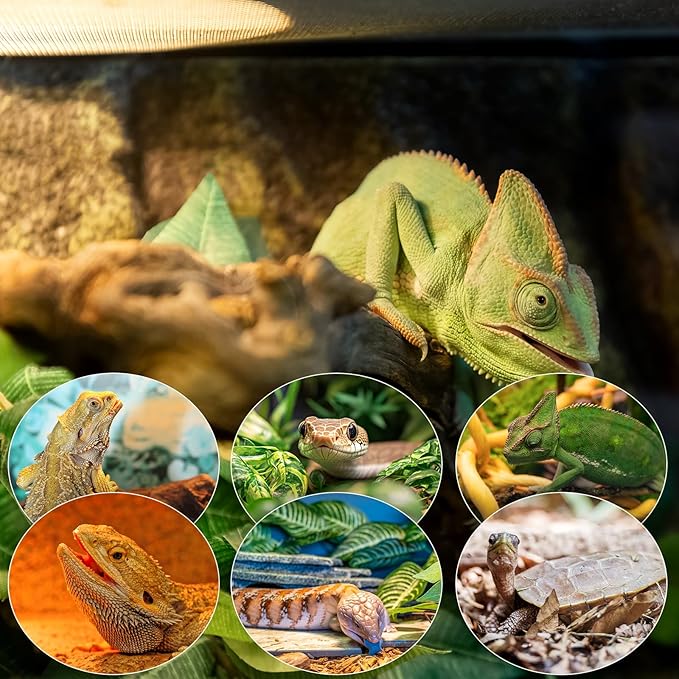 MIXJOY 150W Reptile Heat Lamp Bulb, 2Pack Reptile Basking Spot Light, Upgraded Intense Heat Basking Bulb, UVA Daylight Heat Lamp Bulbs for Reptiles, Bearded Dragon, Lizard, Tortoise, Chicken