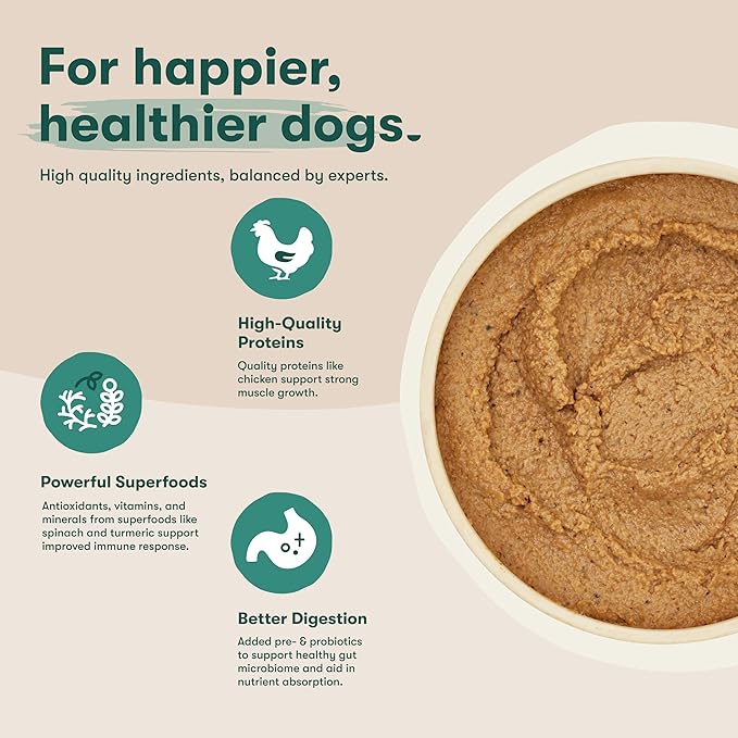 Jinx Premium Wet Dog Food Cans - Chicken & Vegetables Pate - Grain-Free Canned Dog Food Pate & Topper with Real Ingredients & No Fillers - All Life Stages, Breeds & Sizes - 12-Pack, 13 Oz