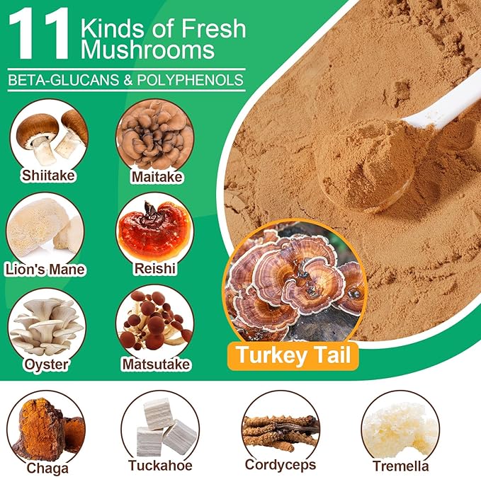Mushroom Supplement Powder for Dogs & Cats, 11 Beneficial Mushroom Complex for Immune Support, Cellular Protection, Heart & Brain Health Lion's Mane, Reishi & Turkey Tail, Bacon Flavor - 120g
