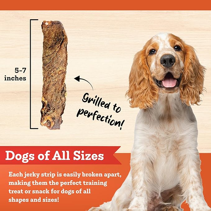 Lamb Jerky Strips Dog Treats, 16 oz – All-Natural, Made in USA, No Fillers or Preservatives – Rich in Vitamins and Minerals