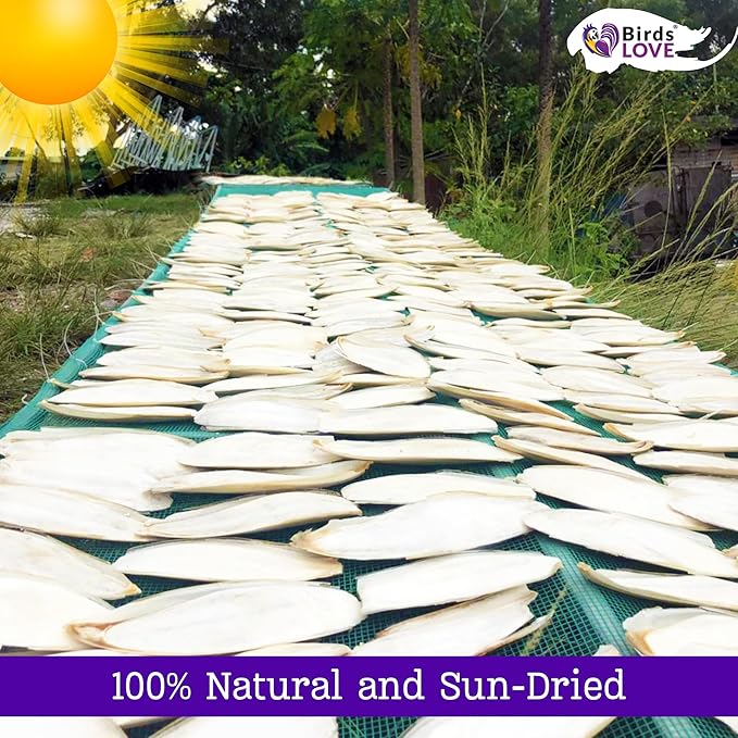 Birds LOVE Natural Cuttlebone | 100% Pure Sun-Dried Calcium Supplement for Birds, Tortoises, Snails & Crabs | Supports Beak & Shell Health | Easy to Chew | 2 Pack, Size 3.5 to 4"