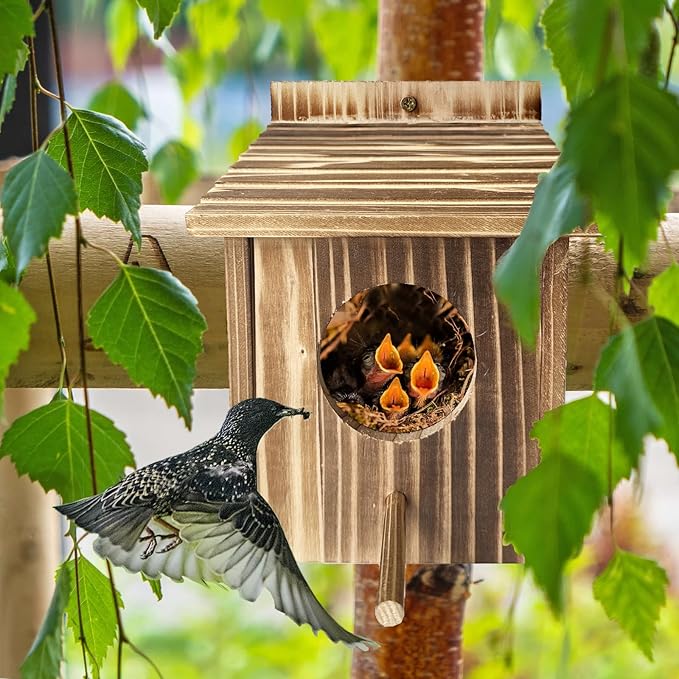 Bird House for Garden Wooden Bird Houses with House Pole birdhouses for Outside Bluebird Cardinals Hanging Birdhouse for Outdoors Hanging or Wall Mount