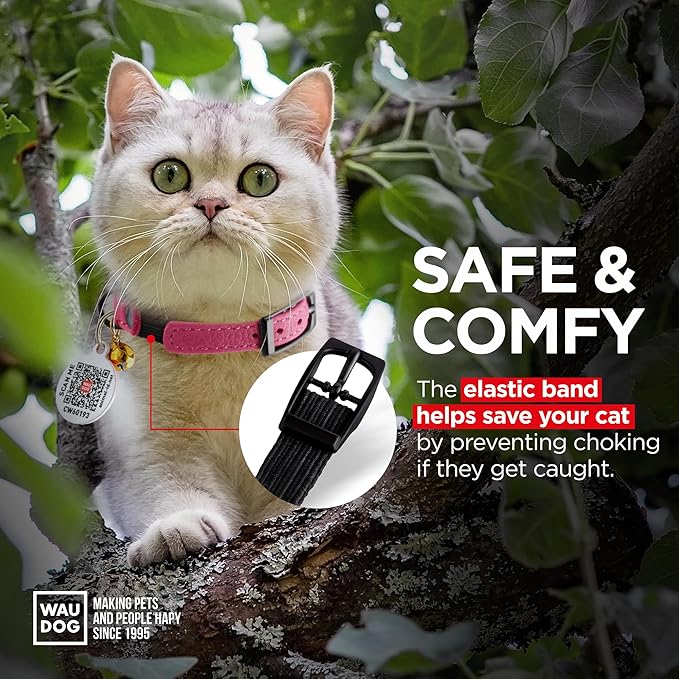 Leather Cat Collar with Bell & Elastic Strap - Pet Collar Leather - Leather Kitten Collar - Cats Small and Big Cat Collar for Boy Cats, Girl Cats with Safety Elastic Strap (Pink, 6" - 8")