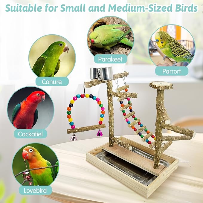PINVNBY Bird Playground Natural Wood Parrot Perch Stand Bird Play Gym Colorful Climb Ladder Swing with Metal Tray and 2 Stainless Steel Cups Bird Cage Accessories for Conure Cockatiel Parakeet Lovebir