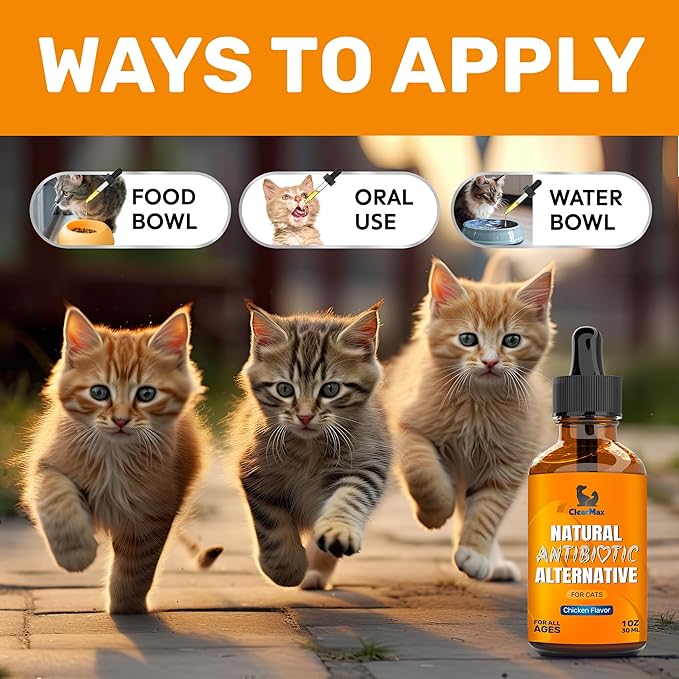 Cat Antibiotic to Help with Cough & Allergies โ Antibiotics for Cats to Aid with UTIs and Digestive Moments โ HIPS & Joints Support โ Attractive Chicken Taste โ 1 Oz Bottle