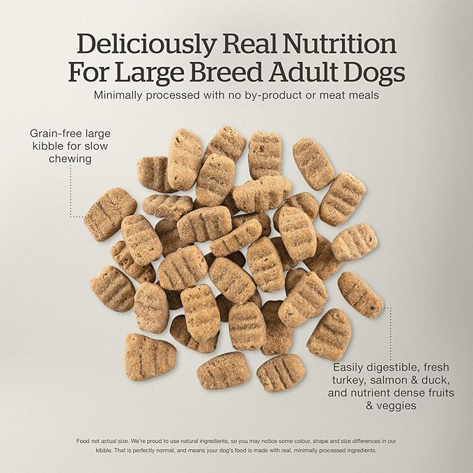 Now Fresh Grain-Free Large Breed Dry Dog Food with Turkey, Salmon & Duck, Premium Kibble for Adults Made with Real Meat & Fish, Chicken-Free, Glucosamine & Chondroitin for Healthy Joints, 12 lb Bag