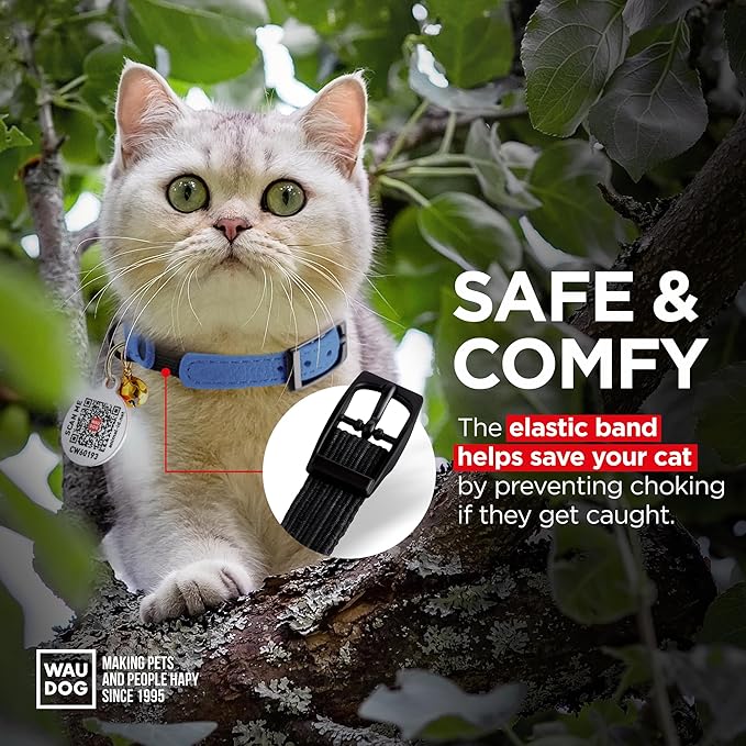 Leather Cat Collar with Bell & Elastic Strap - Pet Collar Leather - Leather Kitten Collar - Cats Small and Big Cat Collar for Boy Cats, Girl Cats with Safety Elastic Strap (Blue, 6" - 8")