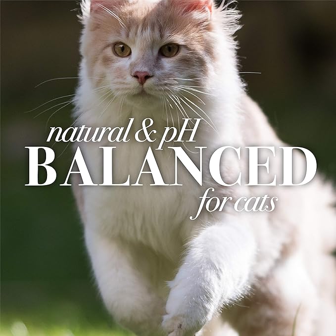 Burt's Bees for Pets Cat Dander Wipes with Colloidal Oat Flour, 98% Natural Origin Formulas, Cats Dandruff Remedy, Feline Cleansing Sheets for Allergy Relief, 3pk, 50ct