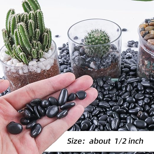 7lb 1/4" Small Pebbles Black for Plants,Potting,Succulents Aquarium Fish Tank Vases Decorative Garden Polished Gravel Rocks Stones