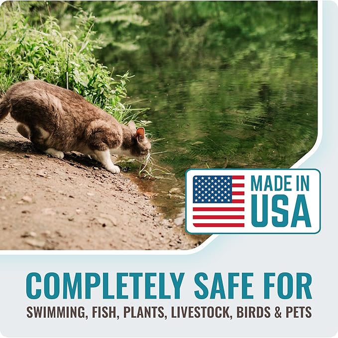 Pond Clear Water Treatment - 16 Pack for 8 Months of Pond Cleaner Supply - Pond Clarifier for Outdoor Ponds โ 100% Natural Pond Bacteria Packets - Made in The USA - Safe for Fish, Pets, and Swimming