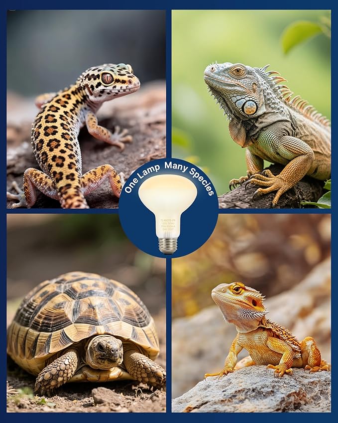 FLSNT Heat Bulb Lamp, 2-Pack 100W Daylight Basking Spot, Bearded Dragon/Turtle/Lzard/Gecko Light Bulb, UVA Heat Lamp, Basking Light for Reptiles RA80