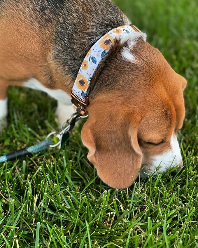 Elegant little tail Dog Collar, Sunflower Pattern Pet Collar Durable Cute Dog Collars Summer Fall Female Pet Gift Adjustable Dog Collar for Small Dogs