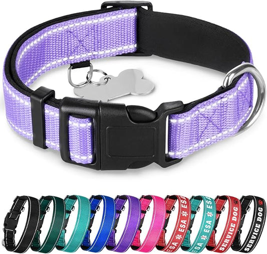 TECEUM Reflective Dog Collar – Lavender – XXS – Extra Soft Padding – Basic Nylon Pet Collar – Quick Release Buckle – Fits Small, Medium and Large Dogs, Puppies, Cats – ESA & Service Dog Options