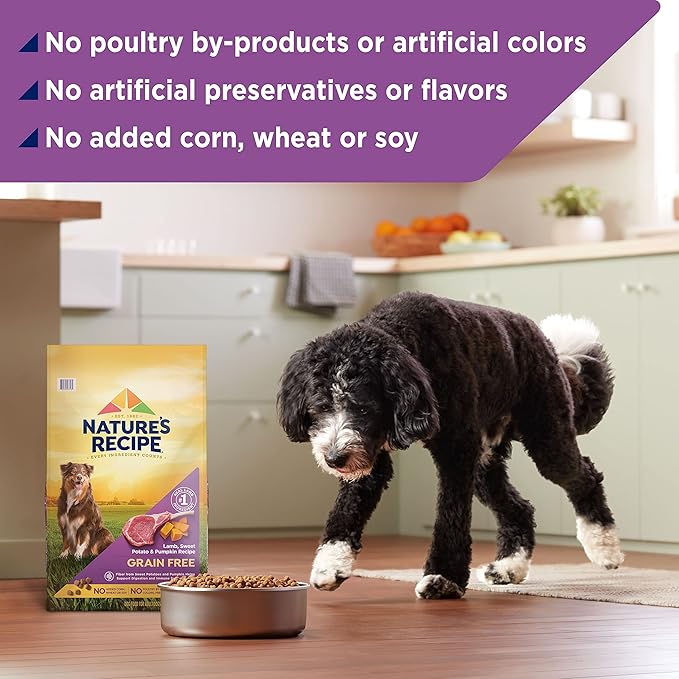 Nature's Recipe Grain Free Dry Dog Food, Lamb, Sweet Potato & Pumpkin Recipe, 12 lb. Bag