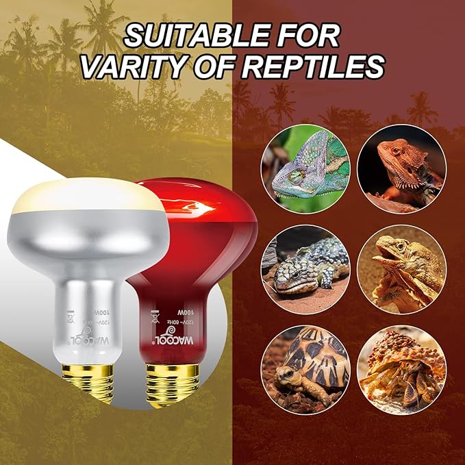 WACOOL 2Pack 100W Reptile Heat Lamp Day & Night Kit, Nature Simulated Basking Daylight & Nightlight Heat Lamp Bulbs for Reptiles & Amphibians, UVA Heat Lamp for Bearded Dragon Gecko Turtle Lizard