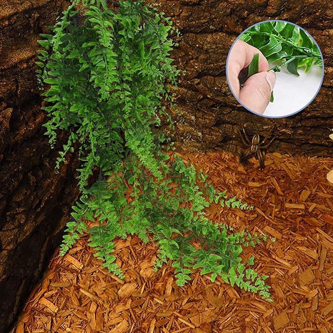 PINVNBY Bearded Dragon Habitat Decoration,Reptiles Hammock Natural Seagrass Lizard Lounger Bridge Coconut Shell Hut Hideout Cave Jungle Climber Terrarium Accessories for Gecko Chameleon Snakes(5 Pcs)