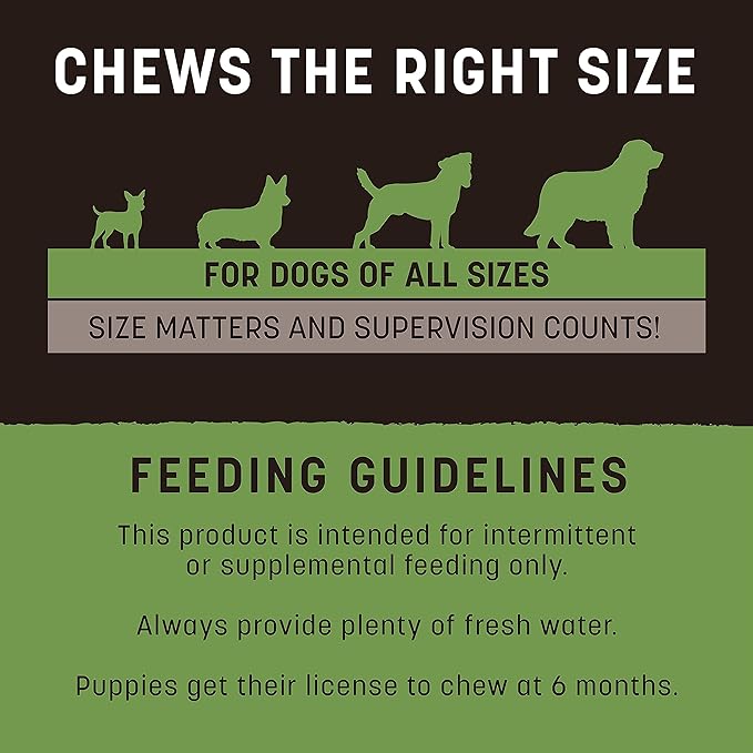 Earth Animal No Hide Strips Pork Flavored Natural Treats | No Rawhide | Quick & Thin Dog Chews - 4 Count