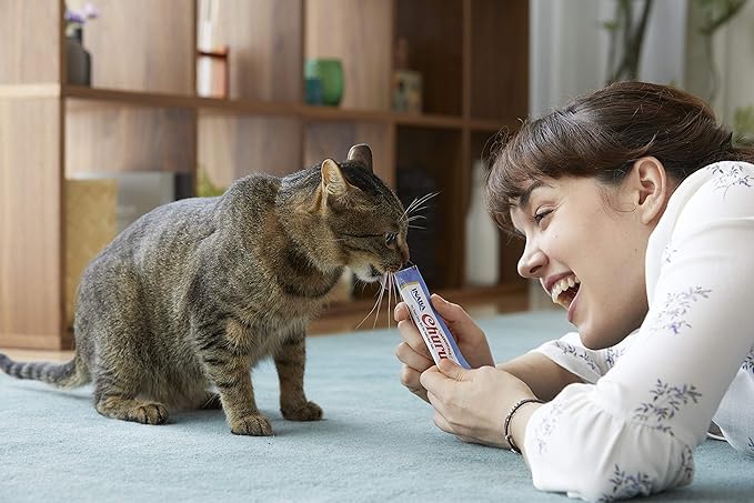 INABA Churu Cat Treats, Grain-Free, Lickable, Squeezable Creamy Purée Cat Treat/Topper with Vitamin E & Taurine, 0.5 Ounces Each Tube, 4 Tubes, Chicken with Cheese Recipe