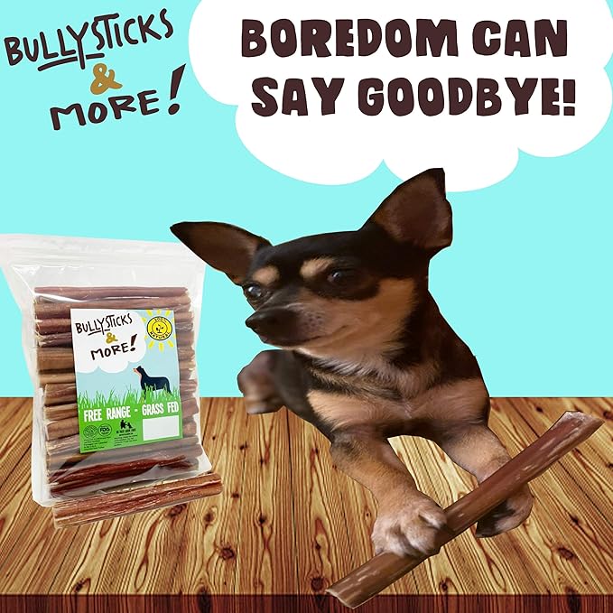 BULLYSTICKS & MORE 6 Inch Bully Sticks (Jumbo/Thick - 12 Count) | Bully Sticks for Large Dogs | 100% Grass Fed Beef | Dog Parents Choice Bully Stick Dog Chews | No Hide Bully Bones for Dogs