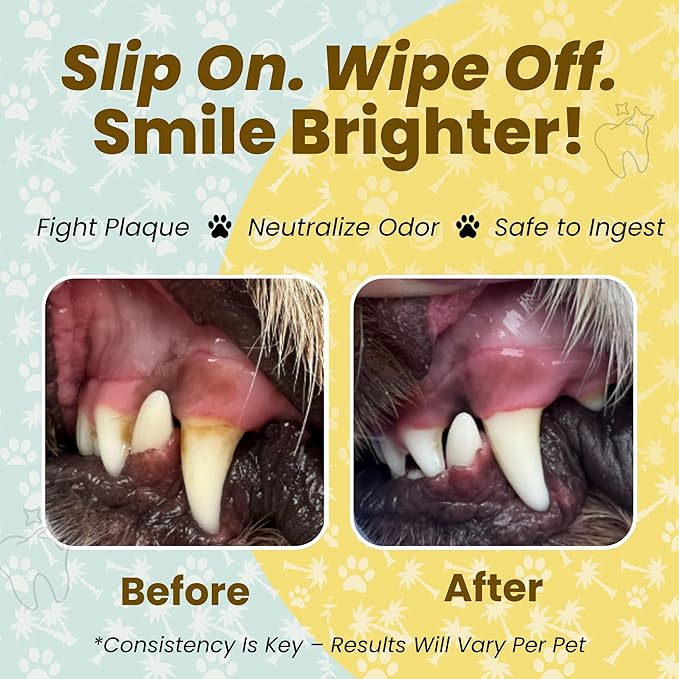 Dog Teeth Cleaning Wipes Ear Nose Paws Fur Cleaner Pure Coconut Oil 1 Pack of 50
